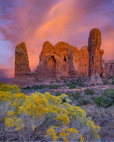 Parade of the Elephants sandstone formation-Arches National Park-Utah White Modern Wood Framed Art Print with Double Matting by Fitzharris, Tim