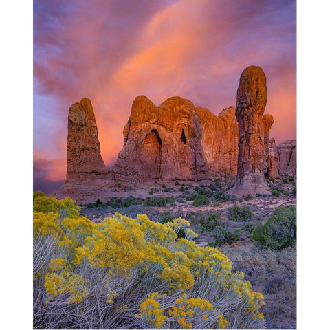 Parade of the Elephants sandstone formation-Arches National Park-Utah Gold Ornate Wood Framed Art Print with Double Matting by Fitzharris, Tim