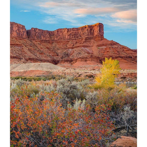 Porcupine Canyon on Colorado River near Castle Valley-Utah Black Modern Wood Framed Art Print with Double Matting by Fitzharris, Tim