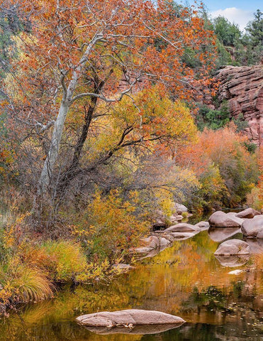 East Verde River-Arizona-USA Black Ornate Wood Framed Art Print with Double Matting by Fitzharris, Tim