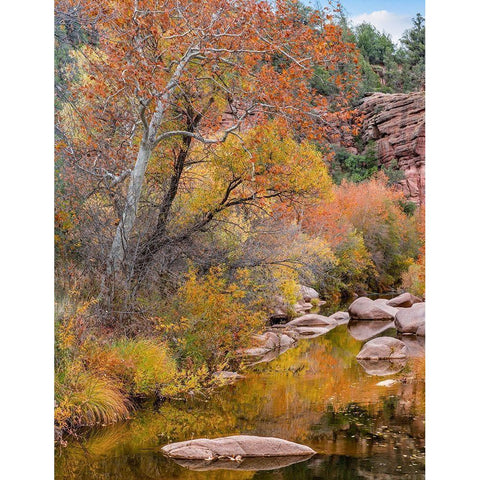 East Verde River-Arizona-USA White Modern Wood Framed Art Print by Fitzharris, Tim