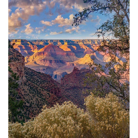 South Rim-Grand Canyon National Park-Arizona USA Black Modern Wood Framed Art Print with Double Matting by Fitzharris, Tim