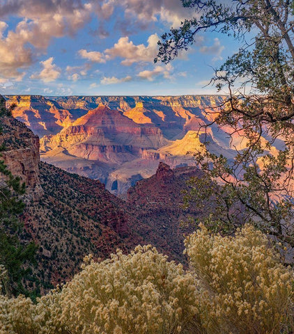 South Rim-Grand Canyon National Park-Arizona USA Black Ornate Wood Framed Art Print with Double Matting by Fitzharris, Tim