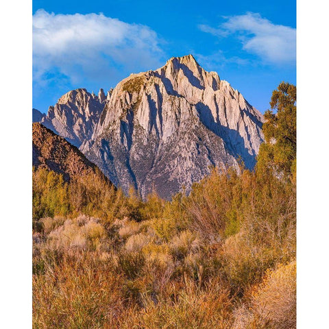 Lone Pine Peak from Tuttle Creek-Sierra Nevada-California-USA White Modern Wood Framed Art Print by Fitzharris, Tim