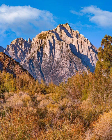 Lone Pine Peak from Tuttle Creek-Sierra Nevada-California-USA White Modern Wood Framed Art Print with Double Matting by Fitzharris, Tim