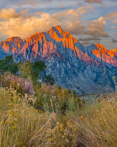 Lone Pine Peak-Eastern Sierra-California-USA White Modern Wood Framed Art Print with Double Matting by Fitzharris, Tim