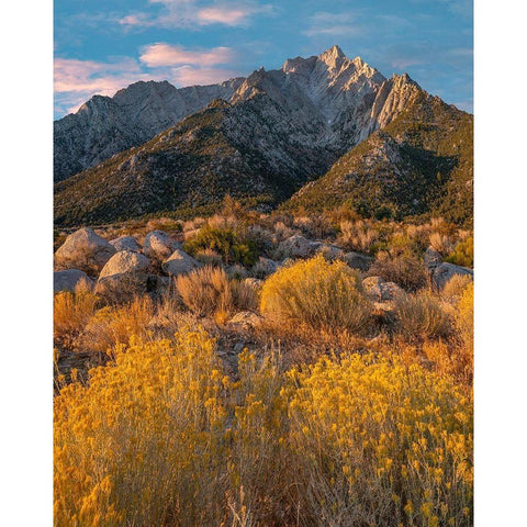 Lone Pine Peak-Eastern Sierra-California-USA White Modern Wood Framed Art Print by Fitzharris, Tim