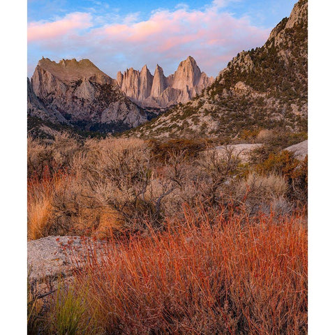 Mount Whitney-Eastern Sierra Nevada-California-USA Black Modern Wood Framed Art Print with Double Matting by Fitzharris, Tim