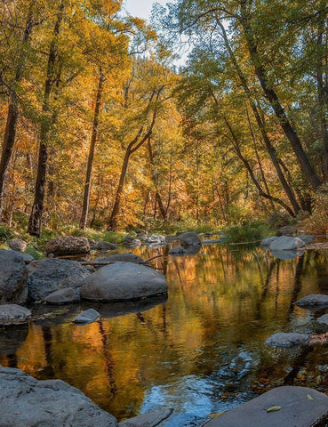 Oak Creek near Sedona-Arizona-USA White Modern Wood Framed Art Print with Double Matting by Fitzharris, Tim