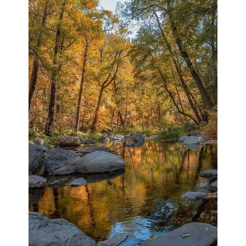 Oak Creek near Sedona-Arizona-USA Black Modern Wood Framed Art Print with Double Matting by Fitzharris, Tim