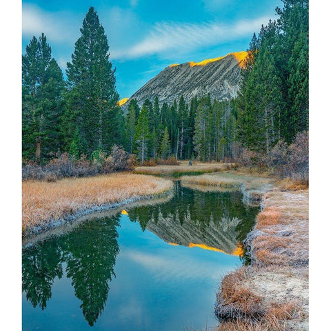Rock Creek. Inyo National Forest-California-USA Gold Ornate Wood Framed Art Print with Double Matting by Fitzharris, Tim
