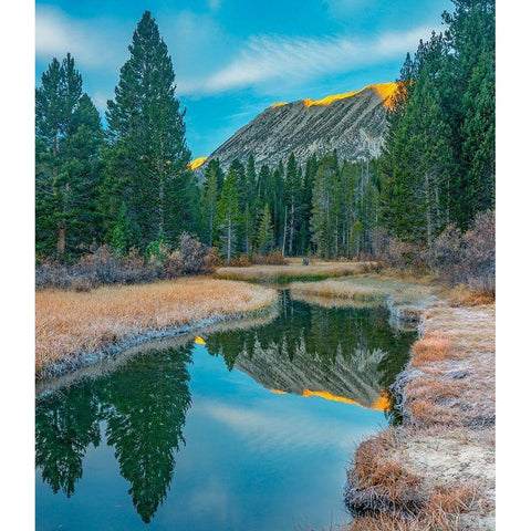 Rock Creek. Inyo National Forest-California-USA White Modern Wood Framed Art Print by Fitzharris, Tim