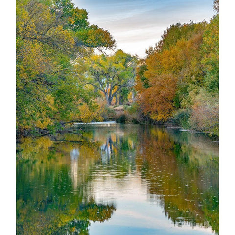 Verde River near Camp Verde-Arizona-USA Black Modern Wood Framed Art Print with Double Matting by Fitzharris, Tim