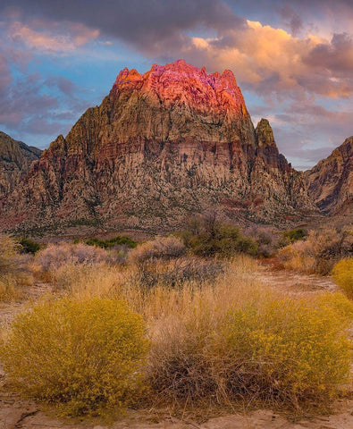 Spring Mountains-Red Rock Canyon National Conservation Area-Nevada White Modern Wood Framed Art Print with Double Matting by Fitzharris, Tim