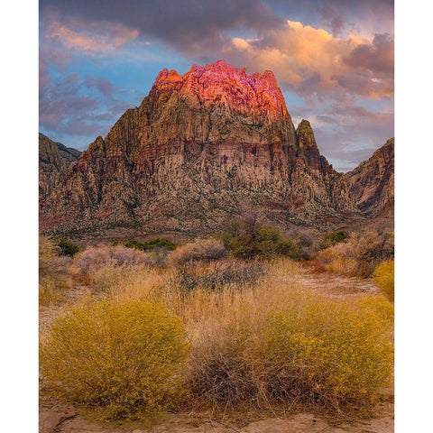 Spring Mountains-Red Rock Canyon National Conservation Area-Nevada White Modern Wood Framed Art Print by Fitzharris, Tim