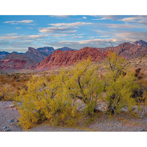 Spring Mountains-Red Rock Canyon National Conservation Area-Nevada Gold Ornate Wood Framed Art Print with Double Matting by Fitzharris, Tim