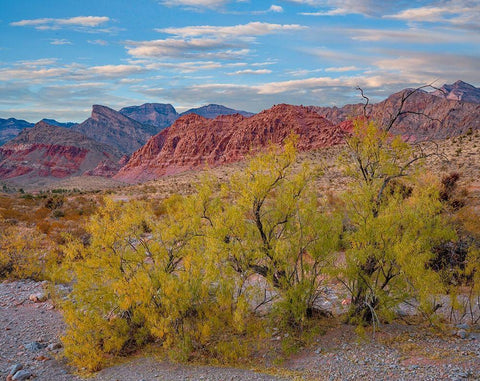 Spring Mountains-Red Rock Canyon National Conservation Area-Nevada Black Ornate Wood Framed Art Print with Double Matting by Fitzharris, Tim