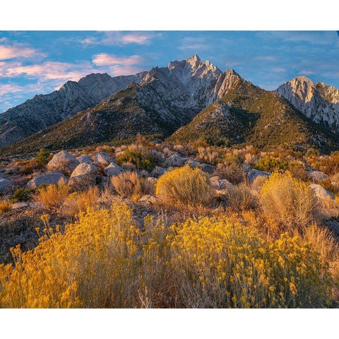 Lone Pine Peak-Eastern Sierra-California-USA Black Modern Wood Framed Art Print with Double Matting by Fitzharris, Tim