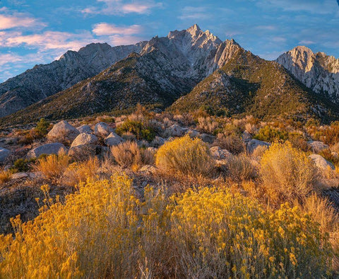 Lone Pine Peak-Eastern Sierra-California-USA White Modern Wood Framed Art Print with Double Matting by Fitzharris, Tim