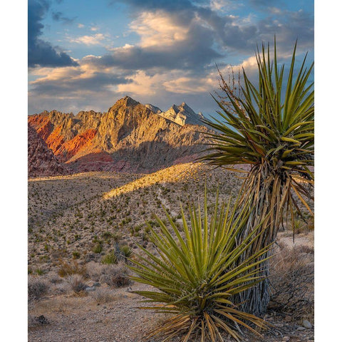 Red Rock Canyon National Conservation Area near Las Vegas-Nevada Gold Ornate Wood Framed Art Print with Double Matting by Fitzharris, Tim