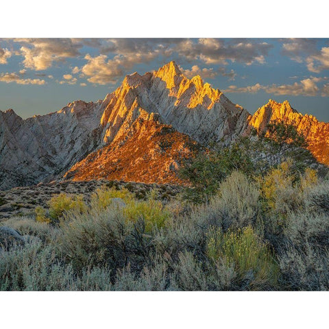 Lone Pine Peak from Tuttle Creek-Sierra Nevada-California-USA  White Modern Wood Framed Art Print by Fitzharris, Tim