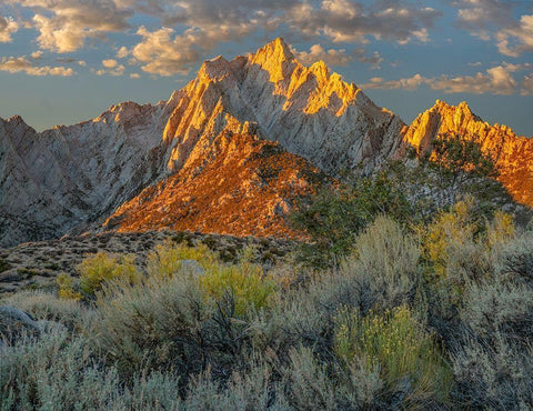 Lone Pine Peak from Tuttle Creek-Sierra Nevada-California-USA  Black Ornate Wood Framed Art Print with Double Matting by Fitzharris, Tim