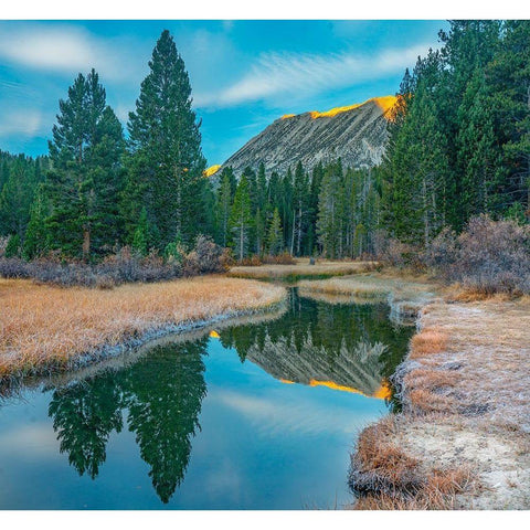 Rock Creek. Inyo National Forest-California-USA Black Modern Wood Framed Art Print with Double Matting by Fitzharris, Tim