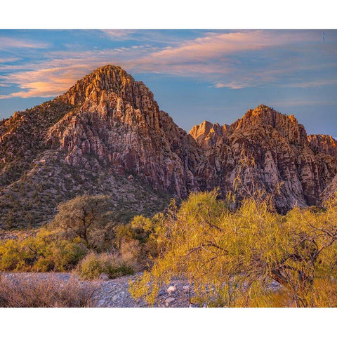 Willows and Wash-Red Rock Canyon-Nevada White Modern Wood Framed Art Print by Fitzharris, Tim