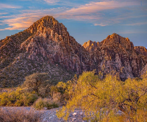 Willows and Wash-Red Rock Canyon-Nevada White Modern Wood Framed Art Print with Double Matting by Fitzharris, Tim