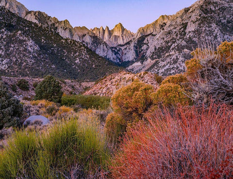 Mount Whitney-Sequoia National Park Inyo-National Forest-California Black Ornate Wood Framed Art Print with Double Matting by Fitzharris, Tim