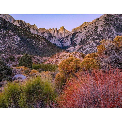 Mount Whitney-Sequoia National Park Inyo-National Forest-California White Modern Wood Framed Art Print by Fitzharris, Tim