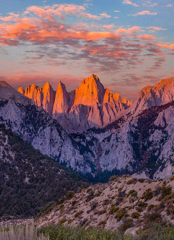 Mount Whitney-Sequoia National Park Inyo-National Forest-California Black Ornate Wood Framed Art Print with Double Matting by Fitzharris, Tim