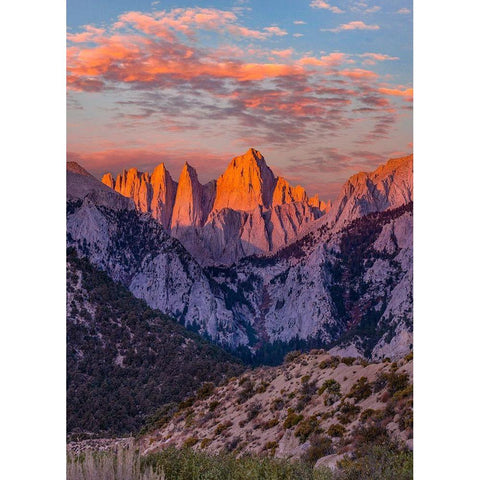 Mount Whitney-Sequoia National Park Inyo-National Forest-California White Modern Wood Framed Art Print by Fitzharris, Tim