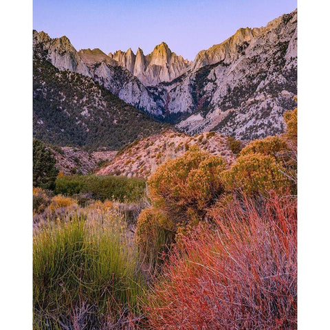 Mount Whitney-Sequoia National Park Inyo-National Forest-California White Modern Wood Framed Art Print by Fitzharris, Tim