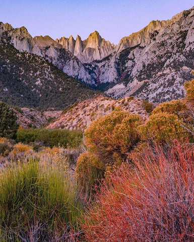 Mount Whitney-Sequoia National Park Inyo-National Forest-California Black Ornate Wood Framed Art Print with Double Matting by Fitzharris, Tim