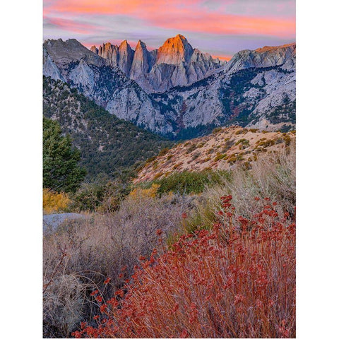 Mount Whitney-Sequoia National Park Inyo-National Forest-California Black Modern Wood Framed Art Print with Double Matting by Fitzharris, Tim