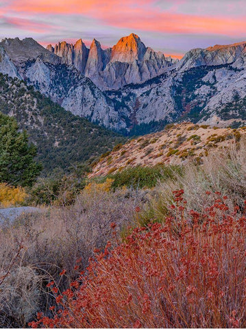 Mount Whitney-Sequoia National Park Inyo-National Forest-California White Modern Wood Framed Art Print with Double Matting by Fitzharris, Tim