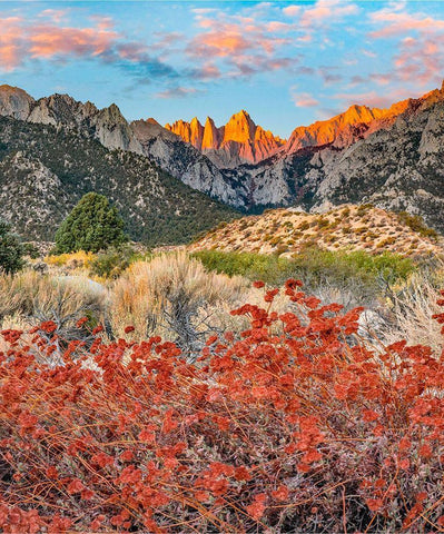 Mount Whitney-Sequoia National Park Inyo-National Forest-California White Modern Wood Framed Art Print with Double Matting by Fitzharris, Tim