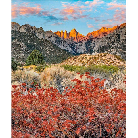 Mount Whitney-Sequoia National Park Inyo-National Forest-California Black Modern Wood Framed Art Print by Fitzharris, Tim