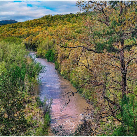 Mulberry National Wild and Scenic River Gold Ornate Wood Framed Art Print with Double Matting by Fitzharris, Tim