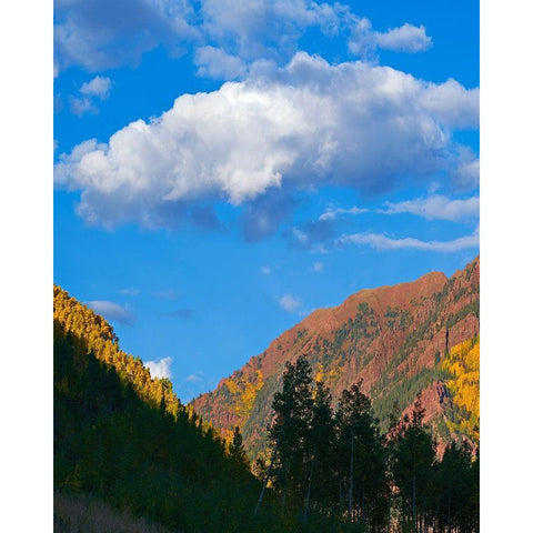 White River National Forest Gold Ornate Wood Framed Art Print with Double Matting by Fitzharris, Tim