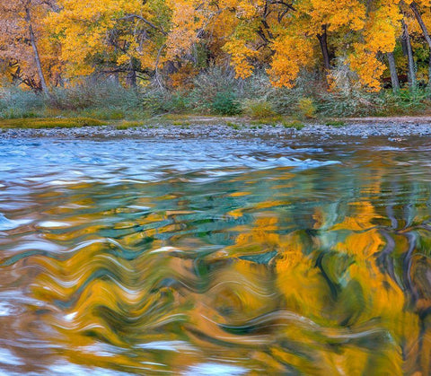 Ripples in the Rio Grande White Modern Wood Framed Art Print with Double Matting by Fitzharris, Tim