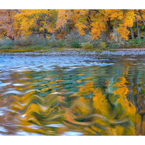 Ripples in the Rio Grande White Modern Wood Framed Art Print by Fitzharris, Tim