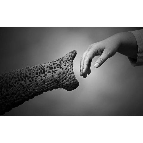 WALKING TOGETHER White Modern Wood Framed Art Print by Wenner-Braun, Antje