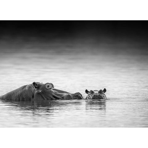 Eye level Black Modern Wood Framed Art Print with Double Matting by Marx, Jaco