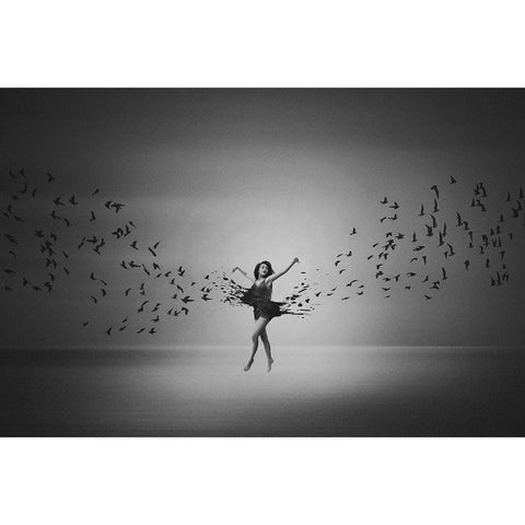 Ballerina flight of Birds Black Modern Wood Framed Art Print with Double Matting by Biwit, Mark