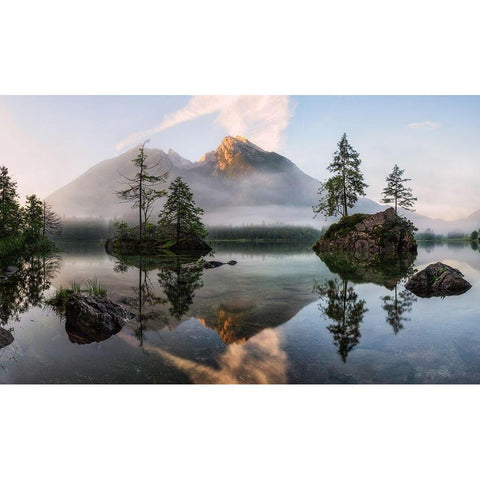 Natures Awakening White Modern Wood Framed Art Print by Gastager, Daniel