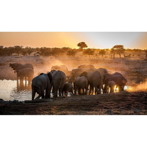 Elephant huddle Gold Ornate Wood Framed Art Print with Double Matting by Van Ooijen, Simon