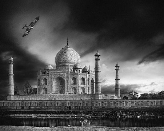 Image Only