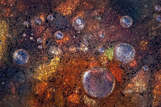 Image Only